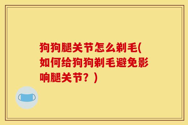 狗狗腿关节怎么剃毛(如何给狗狗剃毛避免影响腿关节？)