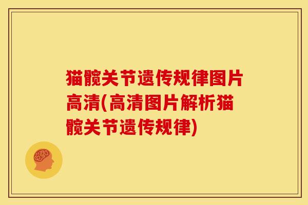 猫髋关节遗传规律图片高清(高清图片解析猫髋关节遗传规律)