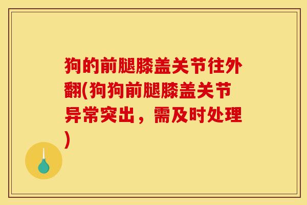 狗的前腿膝盖关节往外翻(狗狗前腿膝盖关节异常突出，需及时处理)