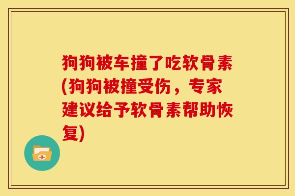 狗狗被车撞了吃软骨素(狗狗被撞受伤，专家建议给予软骨素帮助恢复)