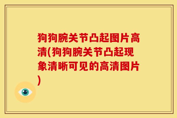 狗狗腕关节凸起图片高清(狗狗腕关节凸起现象清晰可见的高清图片)