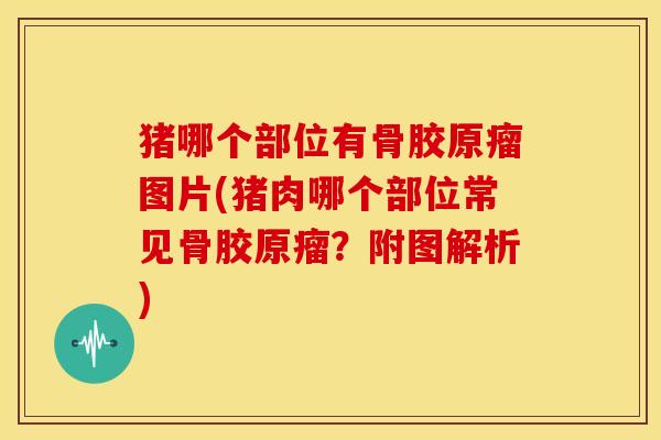 猪哪个部位有骨胶原瘤图片(猪肉哪个部位常见骨胶原瘤？附图解析)