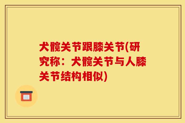犬髋关节跟膝关节(研究称：犬髋关节与人膝关节结构相似)