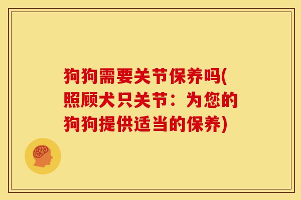 狗狗需要关节保养吗(照顾犬只关节：为您的狗狗提供适当的保养)
