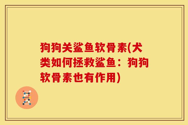 狗狗关鲨鱼软骨素(犬类如何拯救鲨鱼：狗狗软骨素也有作用)