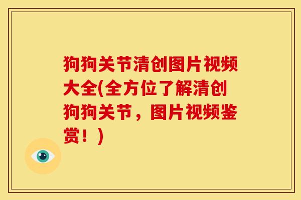 狗狗关节清创图片视频大全(全方位了解清创狗狗关节，图片视频鉴赏！)