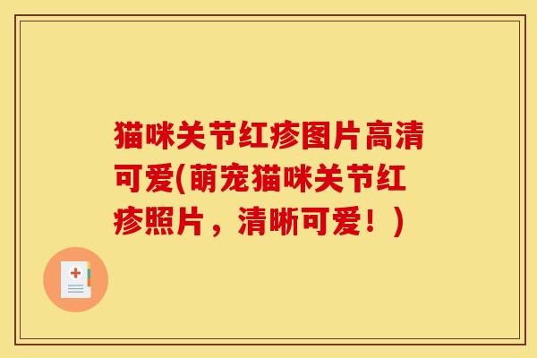 猫咪关节红疹图片高清可爱(萌宠猫咪关节红疹照片，清晰可爱！)