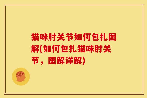猫咪肘关节如何包扎图解(如何包扎猫咪肘关节,图解详解)-第1张图片-关节骑士 猫咪肘关节如何包扎图解(如何包扎猫咪肘关节,图解详解)-第1张图片-关节骑士