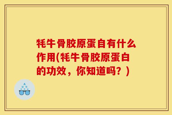 牦牛骨胶原蛋自有什么作用(牦牛骨胶原蛋白的功效，你知道吗？)