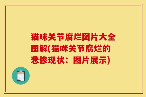 猫咪关节腐烂图片大全图解(猫咪关节腐烂的悲惨现状：图片展示)