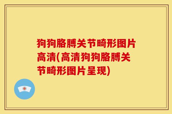 狗狗胳膊关节畸形图片高清(高清狗狗胳膊关节畸形图片呈现)