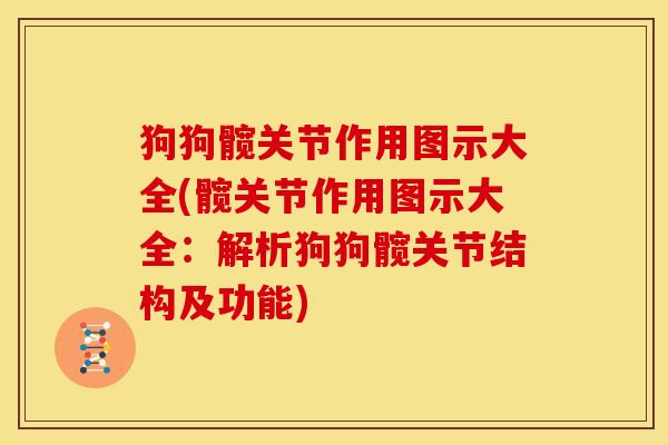 狗狗髋关节作用图示大全(髋关节作用图示大全：解析狗狗髋关节结构及功能)