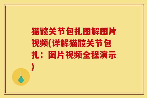 猫髋关节包扎图解图片视频(详解猫髋关节包扎：图片视频全程演示)