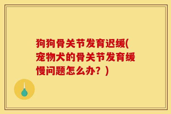狗狗骨关节发育迟缓(宠物犬的骨关节发育缓慢问题怎么办？)