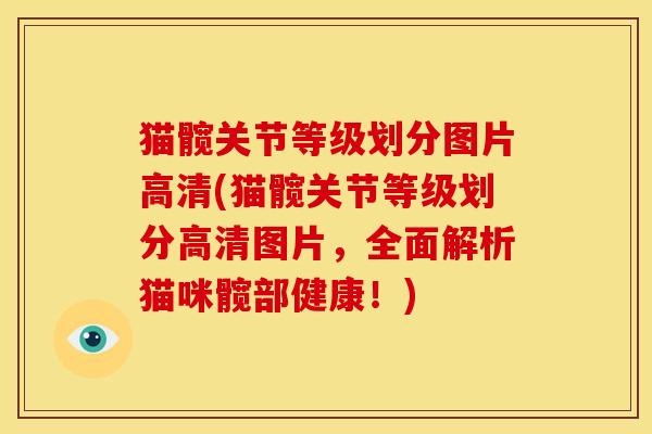 猫髋关节等级划分图片高清(猫髋关节等级划分高清图片，全面解析猫咪髋部健康！)