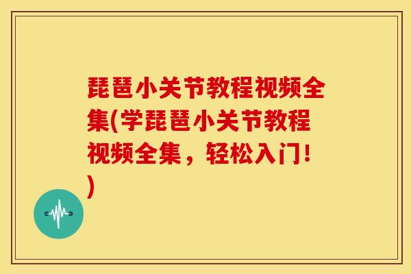 琵琶小关节教程视频全集(学琵琶小关节教程视频全集，轻松入门！)