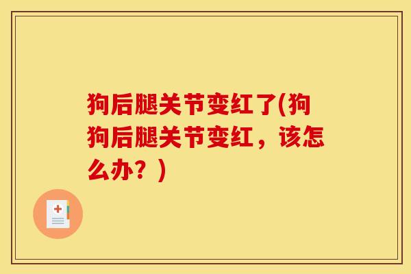 狗后腿关节变红了(狗狗后腿关节变红，该怎么办？)