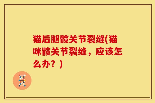 猫后腿髋关节裂缝(猫咪髋关节裂缝，应该怎么办？)