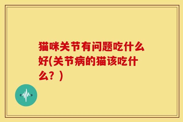 猫咪关节有问题吃什么好(关节病的猫该吃什么？)