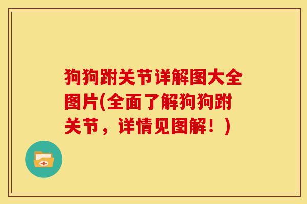 狗狗跗关节详解图大全图片(全面了解狗狗跗关节，详情见图解！)