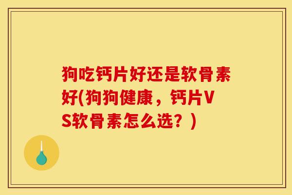 狗吃钙片好还是软骨素好(狗狗健康，钙片VS软骨素怎么选？)