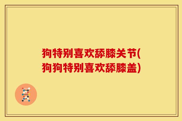 狗特别喜欢舔膝关节(狗狗特别喜欢舔膝盖)