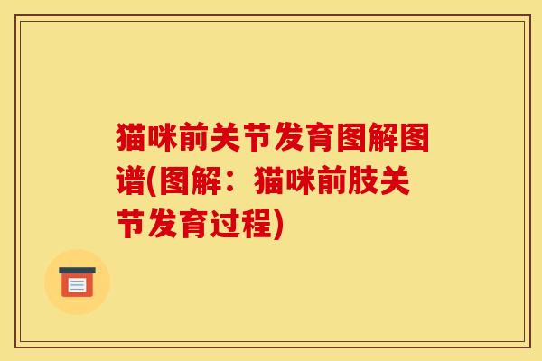猫咪前关节发育图解图谱(图解：猫咪前肢关节发育过程)