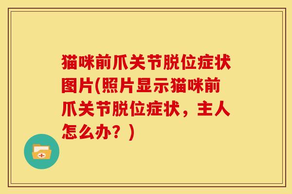猫咪前爪关节脱位症状图片(照片显示猫咪前爪关节脱位症状，主人怎么办？)