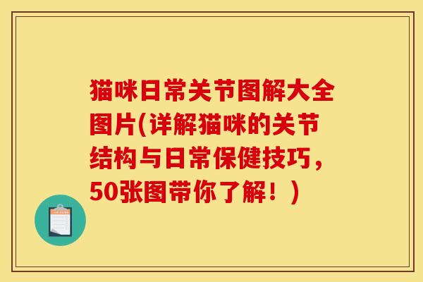 猫咪日常关节图解大全图片(详解猫咪的关节结构与日常保健技巧,50张图带你了解!)-第1张图片-关节骑士 猫咪日常关节图解大全图片(详解猫咪的关节结构与日常保健技巧,50张图带你了解!)-第1张图片-关节骑士