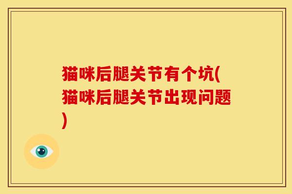 猫咪后腿关节有个坑(猫咪后腿关节出现问题)