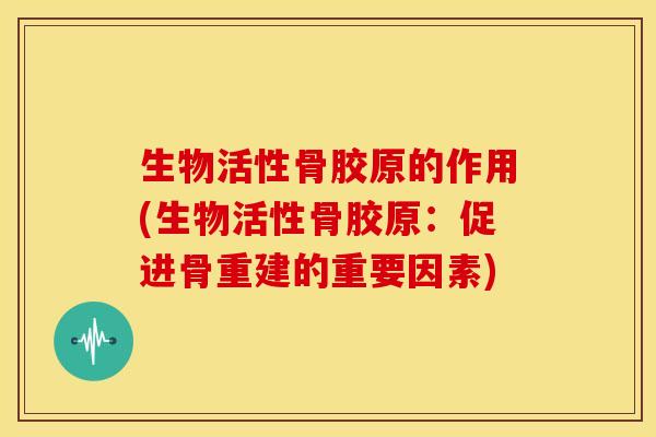 生物活性骨胶原的作用(生物活性骨胶原：促进骨重建的重要因素)