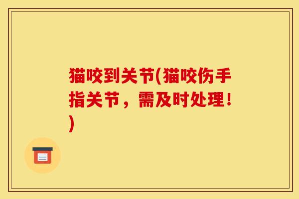 猫咬到关节(猫咬伤手指关节，需及时处理！)