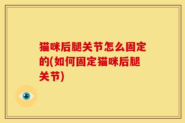 猫咪后腿关节怎么固定的(如何固定猫咪后腿关节)