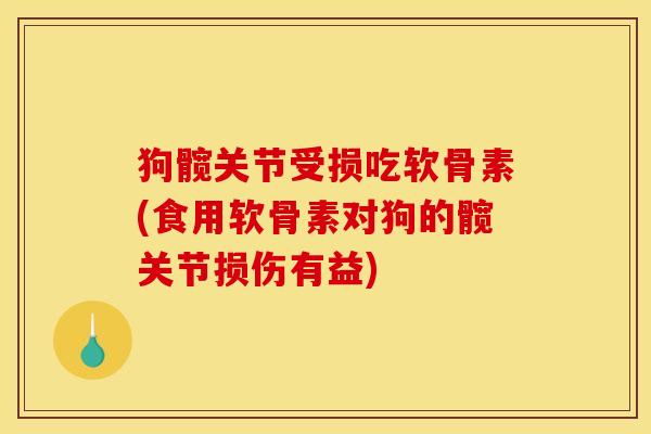 狗髋关节受损吃软骨素(食用软骨素对狗的髋关节损伤有益)