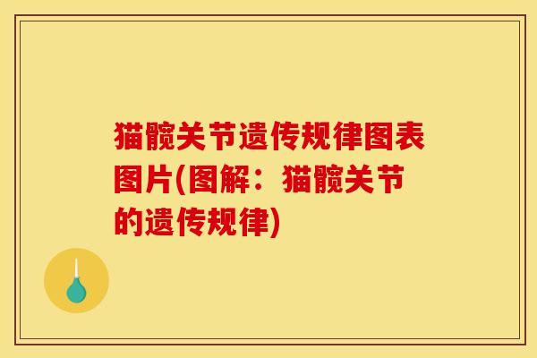 猫髋关节遗传规律图表图片(图解:猫髋关节的遗传规律)-第1张图片-关节骑士 猫髋关节遗传规律图表图片(图解:猫髋关节的遗传规律)-第1张图片-关节骑士