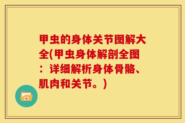 甲虫的身体关节图解大全(甲虫身体解剖全图：详细解析身体骨骼、肌肉和关节。)