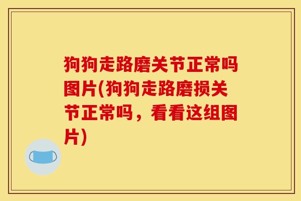 狗狗走路磨关节正常吗图片(狗狗走路磨损关节正常吗，看看这组图片)