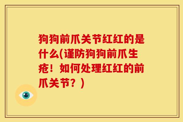 狗狗前爪关节红红的是什么(谨防狗狗前爪生疮！如何处理红红的前爪关节？)