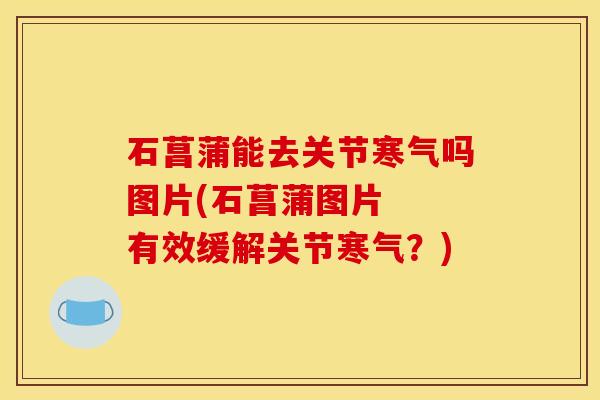 石菖蒲能去关节寒气吗图片(石菖蒲图片  有效缓解关节寒气？)