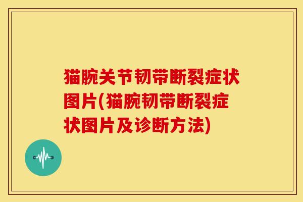 猫腕关节韧带断裂症状图片(猫腕韧带断裂症状图片及诊断方法)
