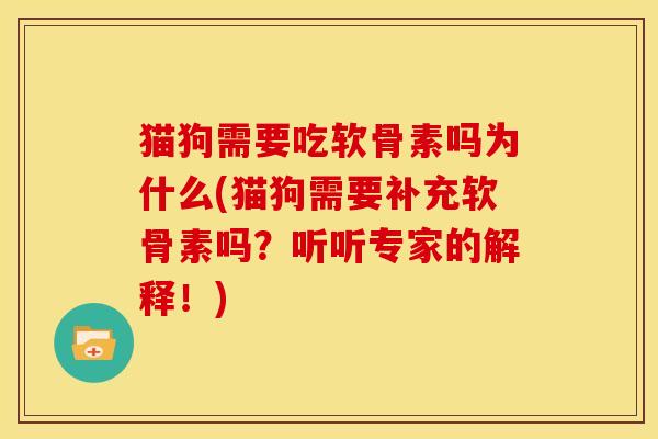 猫狗需要吃软骨素吗为什么(猫狗需要补充软骨素吗？听听专家的解释！)