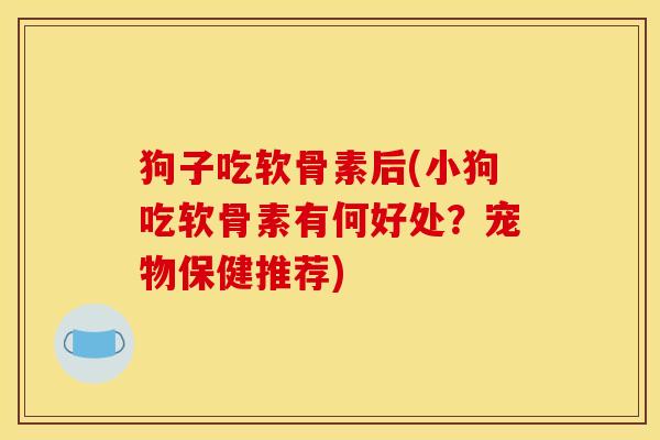 狗子吃软骨素后(小狗吃软骨素有何好处？宠物保健推荐)