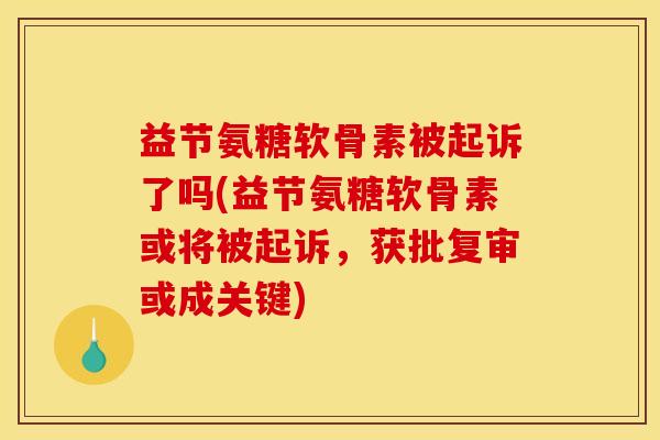 益节氨糖软骨素被起诉了吗(益节氨糖软骨素或将被起诉，获批复审或成关键)