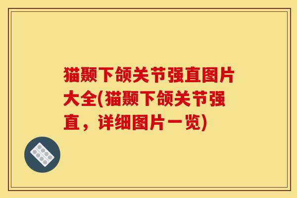 猫颞下颌关节强直图片大全(猫颞下颌关节强直，详细图片一览)