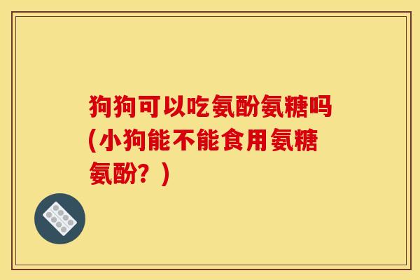 狗狗可以吃氨酚氨糖吗(小狗能不能食用氨糖氨酚？)
