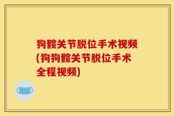 狗髋关节脱位手术视频(狗狗髋关节脱位手术全程视频)