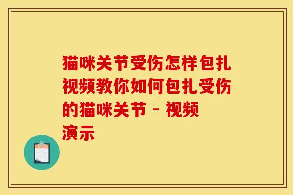 猫咪关节受伤怎样包扎视频教你如何包扎受伤的猫咪关节 - 视频演示