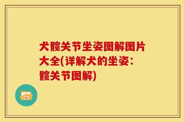 犬髋关节坐姿图解图片大全(详解犬的坐姿：髋关节图解)