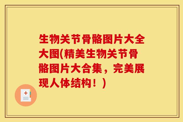 生物关节骨骼图片大全大图(精美生物关节骨骼图片大合集，完美展现人体结构！)-第1张图片-关节骑士