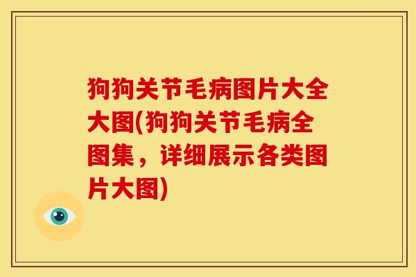 狗狗关节毛病图片大全大图(狗狗关节毛病全图集，详细展示各类图片大图)